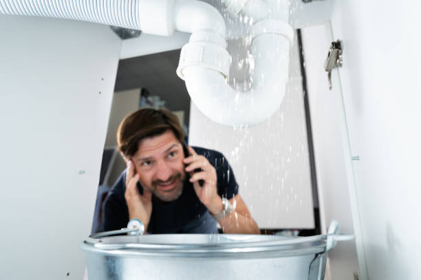 Best Sprinkler Systems  in High Ridge, MO
